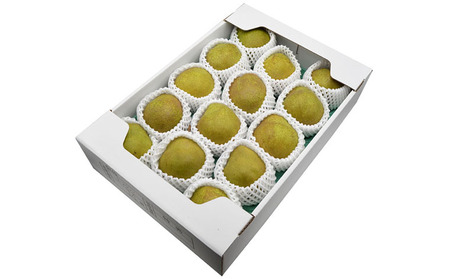 【特秀】山形の極上 ラフランス 特秀品 約5kg(12～16玉)[12月お届け] FZ23-313