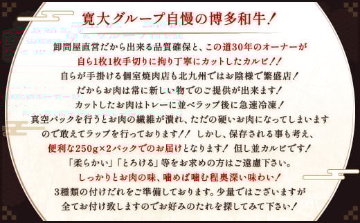 博多和牛 並カルビ 約500g（約250g×2パック）