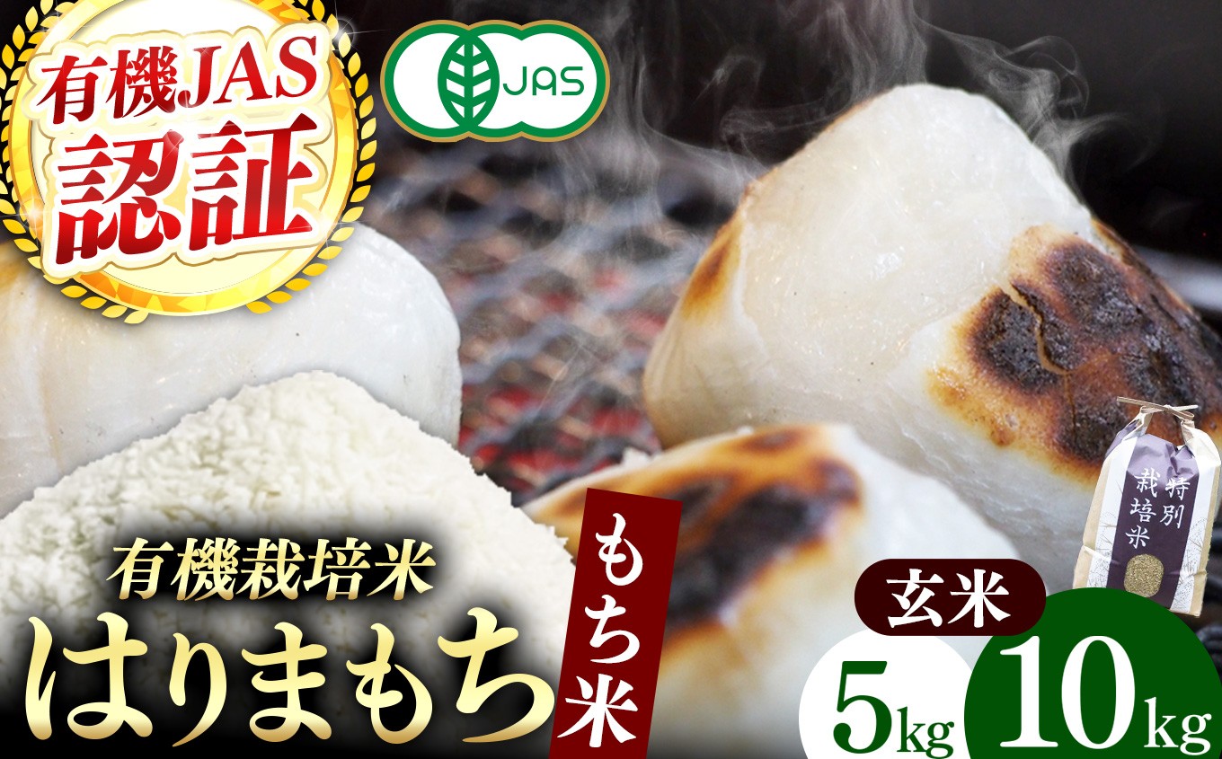 
                  【選べる内容】【有機JAS認証米】『タガメの里・自然米』2025年産 もち米「はりまもち」玄米 5kg 10kg | お米 おこめ 米 コメ こめ はりまもち 玄米 有機JAS認証米 兵庫県 上郡町											
                
