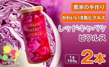 ＜農家の手作り おかずピクルス！＞レッドキャベツピクルス(2本) 常温 常温保存 酢漬け 漬物 おかず サイドディッシュ ヘルシー カラフル おつまみ ギフト 贈答用 【m104-04-A】【エントランスファーム】