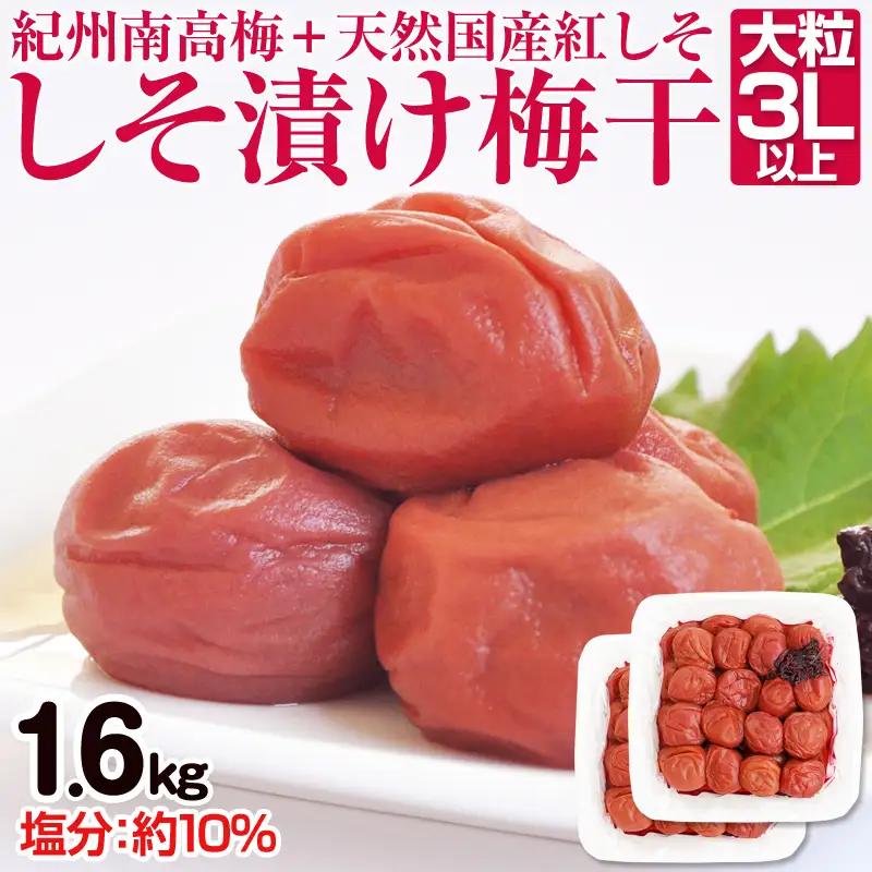 【1125-2】しそ漬け梅干し（紀州南高梅）1.6kg 大粒 3L以上 和歌山県産