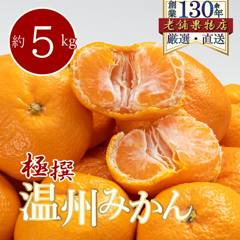 【ふるさと納税】極撰！温州みかん　約5kg 　お届け：2026年11月1日～2027年1月15日