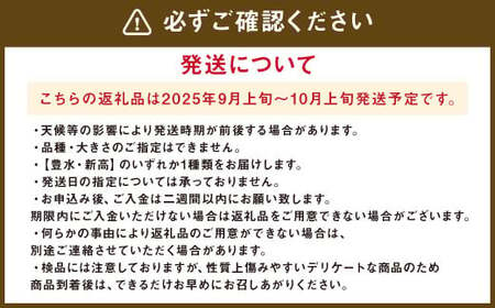 九重町産 梨 約5kg 豊水 新高 果物 フルーツ 大分県産 【2025年9月上旬-10月上旬発送予定】