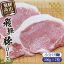 【ふるさと納税】アルプス育ち飛騨豚ロース100g×7枚 計700g 豚肉 ロース 真空パック 冷蔵 ブランド豚 国産 高山産 パック 真空チルドパック 豚 岩ト屋 飛騨高山 TR4049