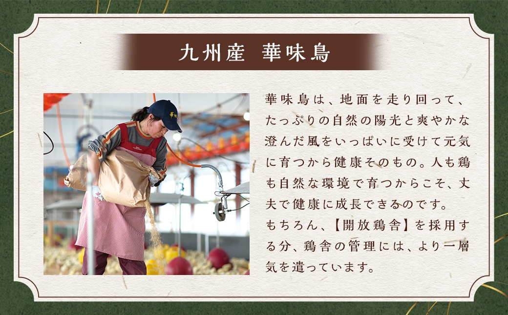 博多華味鳥水たき･もつ鍋セット （ 各3～4人前 ）