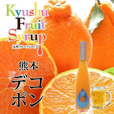 ふるさと納税 水俣市 九州を飲む! 九州果実 シロップ デコポン 500ml 1本 【福田農場】