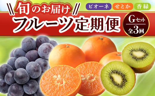 【旬のお届け フルーツ定期便 3回】Gセット ピオーネ 約1.2kg せとか 約5.0kg  香緑 約3.0kg F5J-799