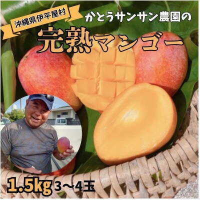 【2026年7月頃発送】離島の恵み　完熟マンゴー1.5kg【配送不可地域：離島】【1497087】