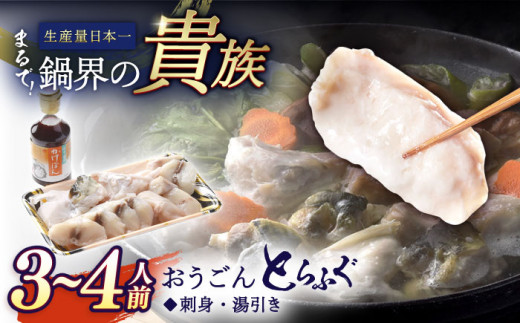 
【着日指定 可能】活〆おうごんとらふぐ 鍋 セット 約400g 平戸市 / 松永水産 [KAB113]
