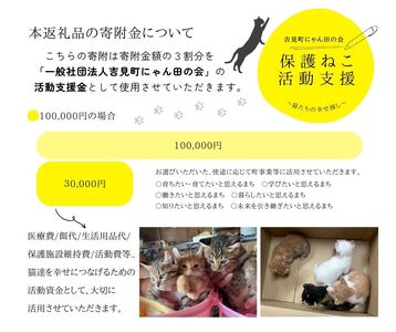 【100,000円】保護猫活動支援～望まれず生まれる命を無くし、行き場を失った猫たちの幸せ探し～