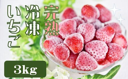 【先行予約＿2026年出荷分】特別賞受賞！完熟冷凍いちご 3kg【 いちご 果物 フルーツ 苺 イチゴ 冷凍 果物 フローズン くだもの 大容量 静岡県産 期間限定 】　<A-9>