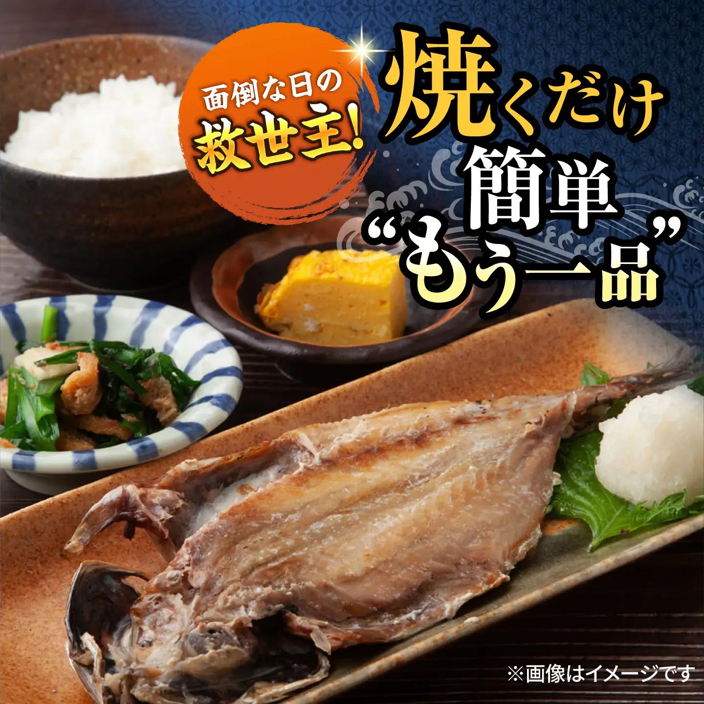 【訳あり】干物 真アジの干物 約2.8kg（40枚前後） [AKCX001]