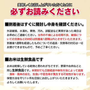 【令和8年産先行予約】 はえぬき　玄米（庄内米）　30kg×1袋　農家 長四郎