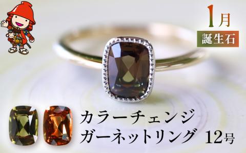 誕生石 1月 カラーチェンジガーネット 指輪 リング 12号 レディース K18 PT900 プラチナ アクセサリー 婚約指輪 プロポーズ 結婚指輪 誕生日 結婚 母の日 プレゼント 祝 記念日