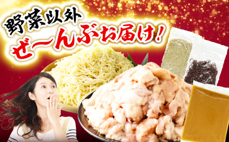 国産もつ入りミックスもつ鍋（味噌）3人前セット 広川町 / 株式会社POWER EAST CONNECTION[AFAZ051]