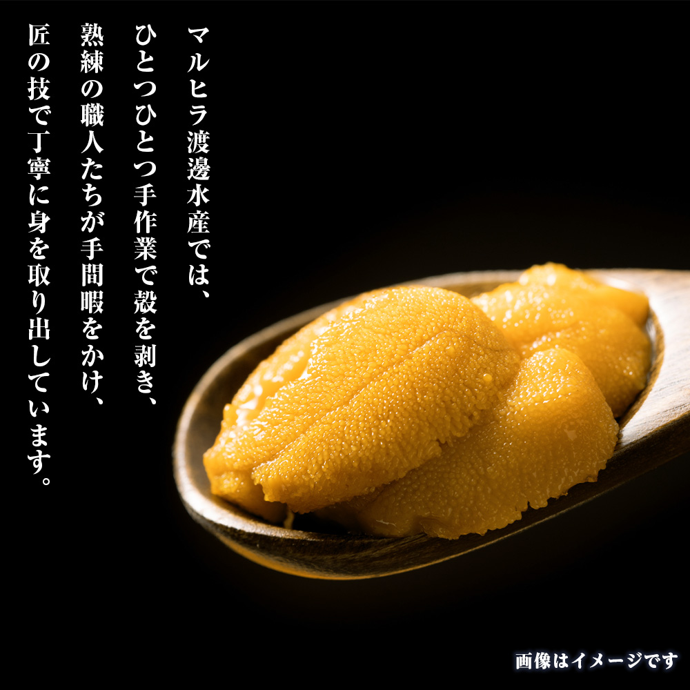 2026年発送 先行受付 ウニ本来の味が楽しめる【白老産】塩水ムラサキウニ 100g×1パック_イメージ3