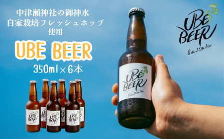 クラフトビール 宇部ビール 330ml×6本 BTCL001