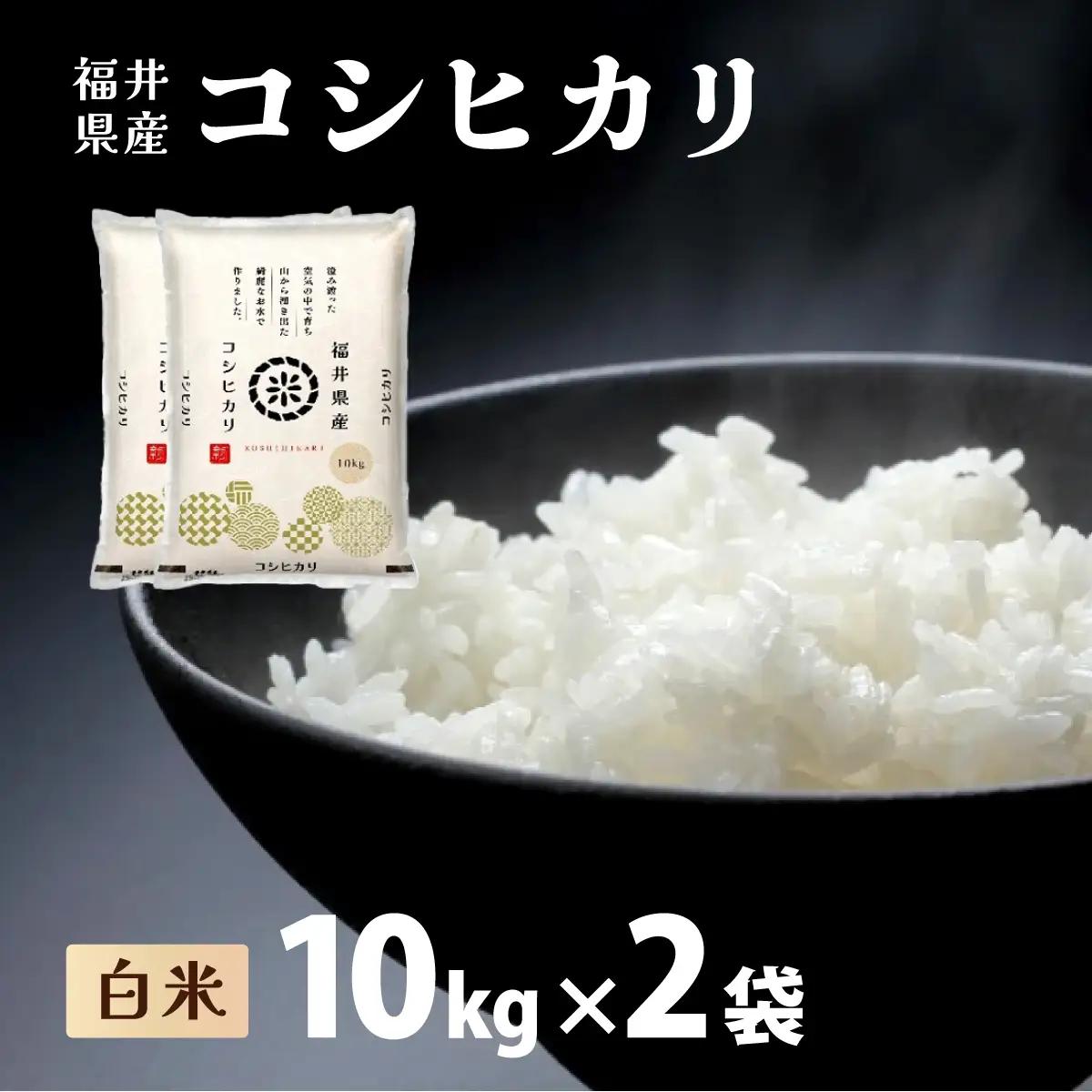コシヒカリ 20kg（10kg×2）令和7年産 [095-a203]