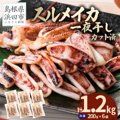 ふるさと納税 浜田市 島根県産浜田市加工　スルメイカ一夜干し　食べ応え大満足の合計1.2kg(小分け個包装200g×6袋)