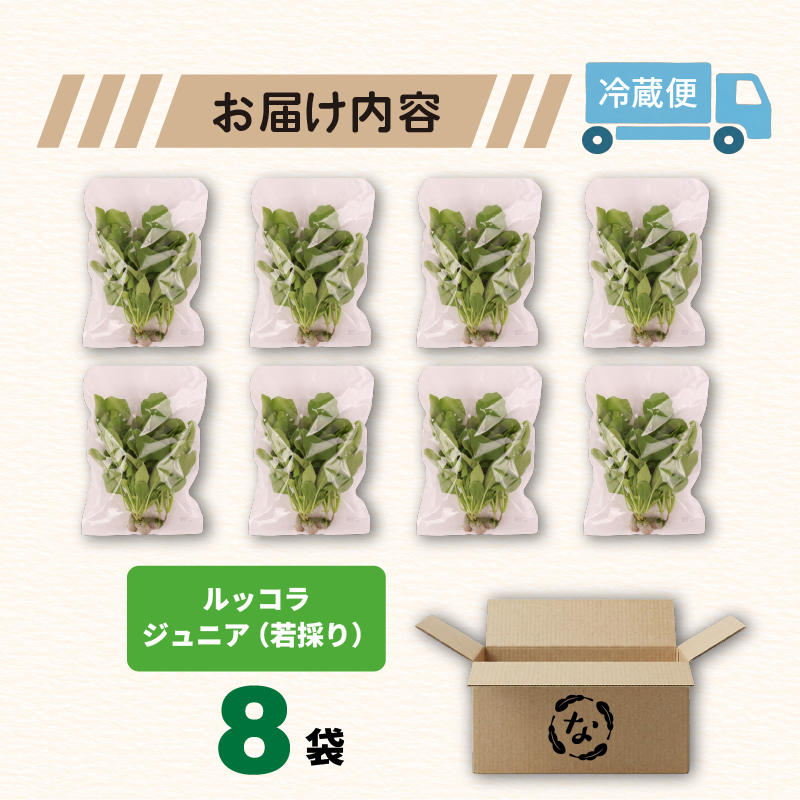 葉野菜 若採り サラダ ルッコラ ジュニア | ベビー ほうれんそう ホウレンソウ 水菜 ミズナ 生食 野菜 セット 新鮮 健康 人気 おすすめ 高知県 南国市
