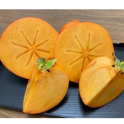 ふるさと納税 橋本市 【先行受付　2026年11月以降順次発送】紀州てまり　4Lサイズ |  | 02