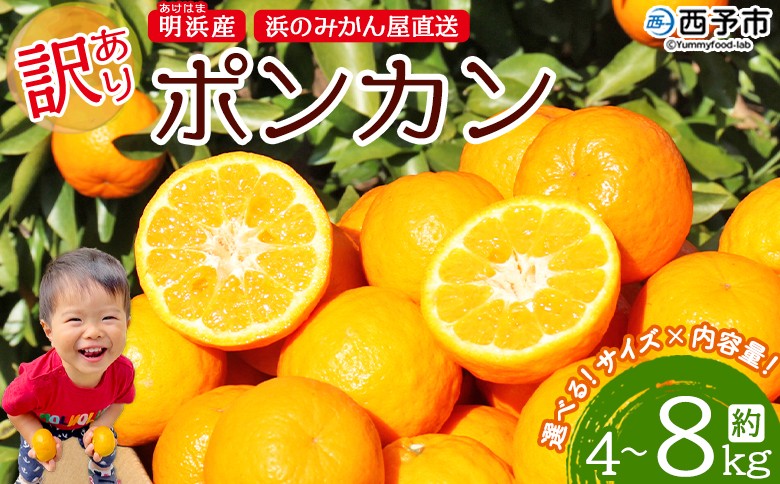 
            ＜訳あり ポンカン 約4kg / 8kg＞ 選べるサイズ 大きい 大玉 小さい 小玉 中玉 食べやすい ぽんかん 家庭用 果物 フルーツ おいしい 甘い 柑橘類 明浜産 あけはま ご自宅用 浜のみかん屋 愛媛県 西予市【常温】『2026年1月下旬～2月中旬迄に順次出荷』
          