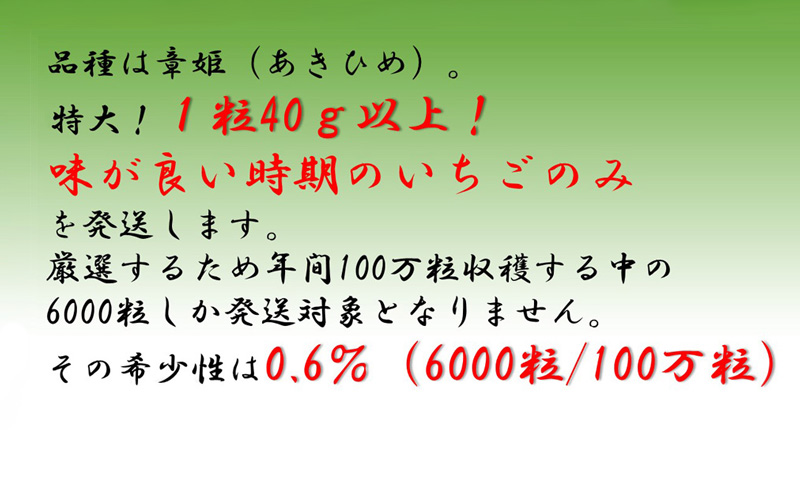 特大いちご(章姫)　360g以上(7〜9粒、1粒40g以上)×2箱 ・O044-19／オオダケイチゴ 