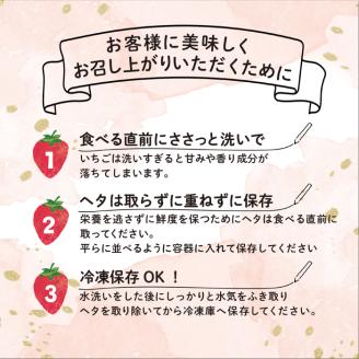 あまおう いちご 1,620g ( 約270g × 6パック ) 【先行予約・2024年3月初旬より順次発送】 グランデ等級 福岡県産 糸島市 / 株式会社HSP-テクノ [AZL002]