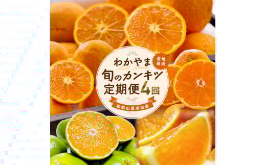 【全4回】和歌山旬のカンキツ定期便【S】3・5・9・11月発送（ご家庭用）※北海道・沖縄県・離島への配送不可 / 春の柑橘 初夏の柑橘 青切り 有田みかん 完熟有田みかん フルーツ くだもの 果物【ard-tkb905】