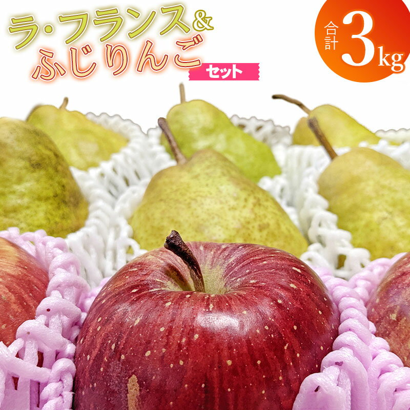 【ふるさと納税】【令和7年産 先行予約】山形県鶴岡市産 ラ・フランス＆ふじりんご 合計約3kg（10〜12玉入） 2025年産