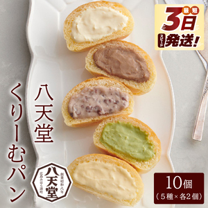 【八天堂】とろけるくりーむパン 10個詰合せ (5種×2個) 最短3日発送 クリームパン 菓子パン スイーツ とろける食感 食べ比べ カスタード 生クリーム チョコレート 抹茶 冷凍 冷凍配送 ギフト
