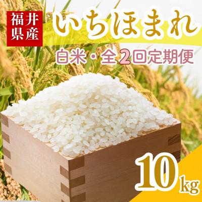 ふるさと納税 小浜市 【毎月定期便】いちほまれ白米10kg全2回