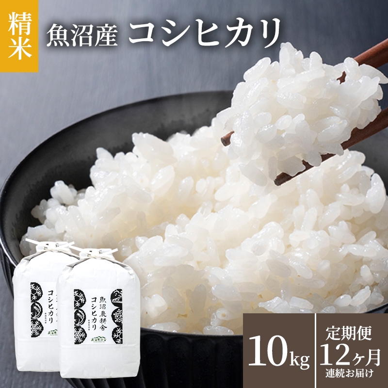 
                  [№5762-0792]米農家自慢の魚沼産コシヒカリ(精米)10kg(5kg×2袋)12ヶ月連続お届け( 米 お米 こめ 白米 こしひかり 12回 お楽しみ ) 新潟県 
                