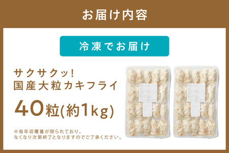 サクサクッ!国産大粒カキフライ40粒(約1kg) 牡蠣 牡蠣【001-0011】