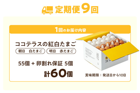 【9ヵ月定期便】ココテラスの紅白たまご　55個 + 5個保証（計60個）【JGAP認証】 農家直送 新鮮 卵 タマゴ 赤卵 白卵 玉子 鶏卵 朝食 夕食 夜食 朝ごはん たまご焼き だし巻き卵 オムレ