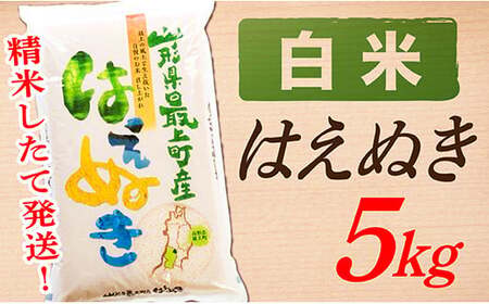 【令和7年産】【白米】山形県産はえぬき5kg