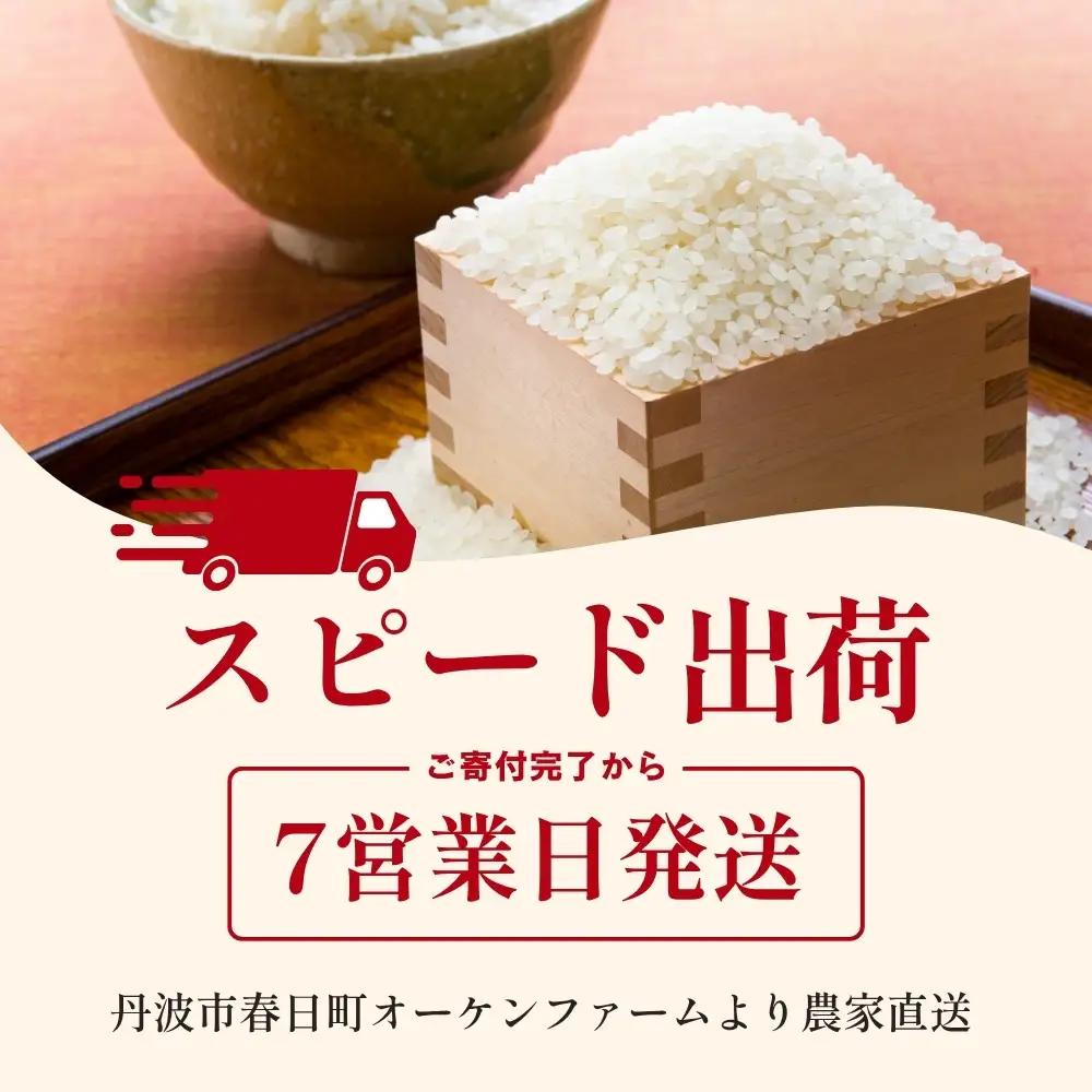 コシヒカリ〈スピード発送〉新米 丹波コシヒカリ〈低農薬 80%減〉特別栽培米 5kg コシヒカリ