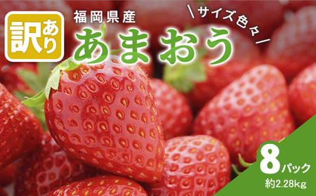 【訳あり】 いちご 2027年2月下旬より発送 あまおう サイズ色々 8パック 約2.28kg いちご