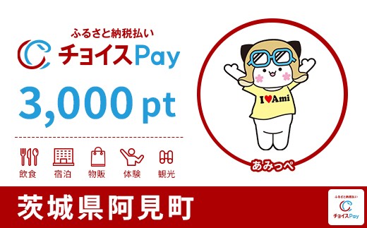 
                  阿見町チョイスPay 3,000pt【会員限定のお礼の品】
                