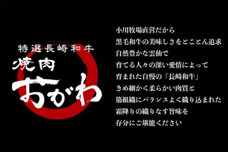 定期便 12回 牛肉 雲仙育ち おがわ牛 A5 サーロインステーキ 総計12kg(1kg×12回) ステーキ 黒毛和牛 冷凍 / 焼肉おがわ / 長崎県 雲仙市