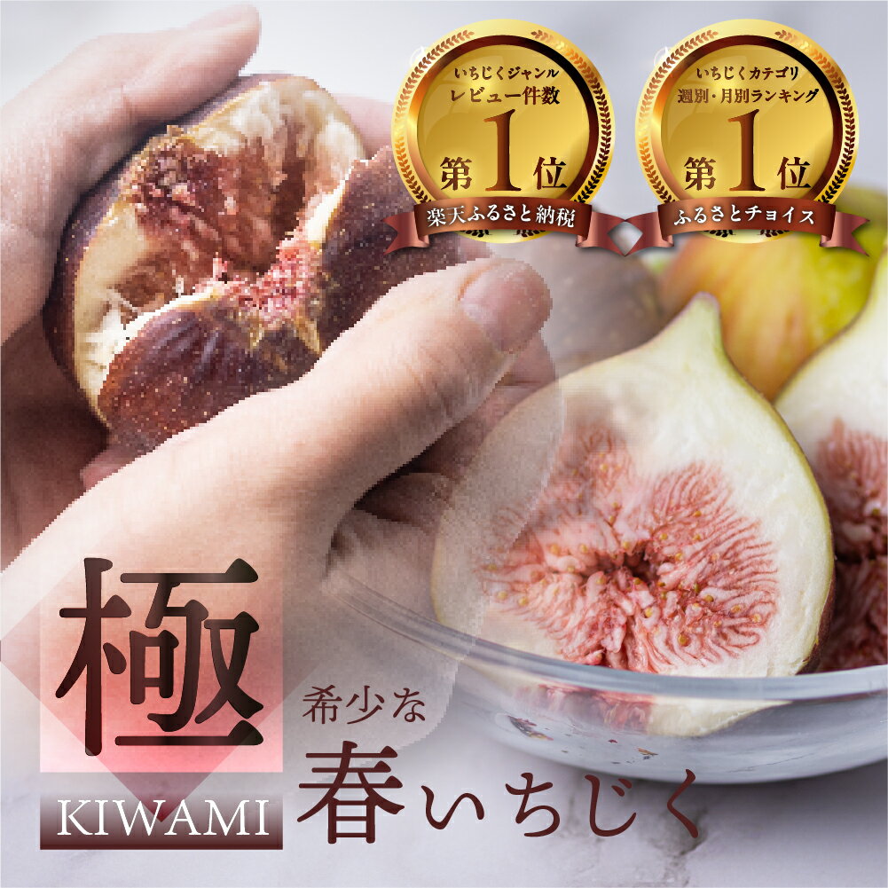 【ふるさと納税】 春の希少な いちじく 極 9-12玉 (4月/5月)完熟 大玉 フルーツ 【専用箱】入手困難 受賞農家 果物 無花果 イチジク くだもの いちぢく ランキング 贈答品 高級 産地直送 愛知県 田原市 渥美半島 人気 先行予約