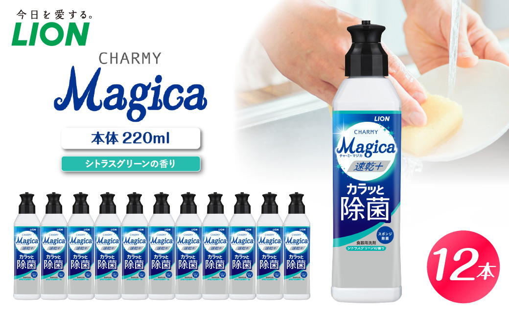 CHARMY Magica 速乾＋（プラス） カラッと除菌 シトラスグリーンの香り 本体220ml×12個 チャーミーマジカ マジカ ライオン LION 食器用洗剤 台所用洗剤 キッチン洗剤 食器洗剤 中性洗剤 本体 つめかえ 詰め替え 詰替え つめかえ用 220ml 680ml 備蓄 ストック 日用品 生活用品 生活必需品 消耗品 キッチン用品 台所用品 食器洗い 油汚れ 除菌