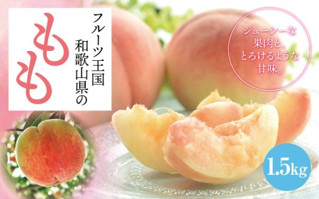 【数量限定】【和歌山ブランド】【厳選】和歌山のこだわり桃　約1.5kg（５～６玉）【ard057C】