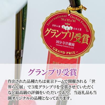 ふるさと納税 北本市 胡蝶蘭 白色赤リップ ヘルメス 大輪 3本立て |  | 03