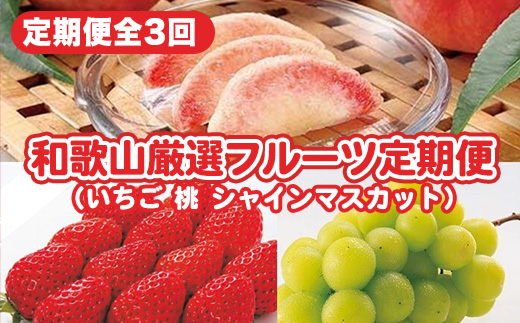 〈定期便〉【2・7・8月 全3回】和歌山厳選フルーツ（いちご・桃・シャインマスカット ） ※離島への配送不可