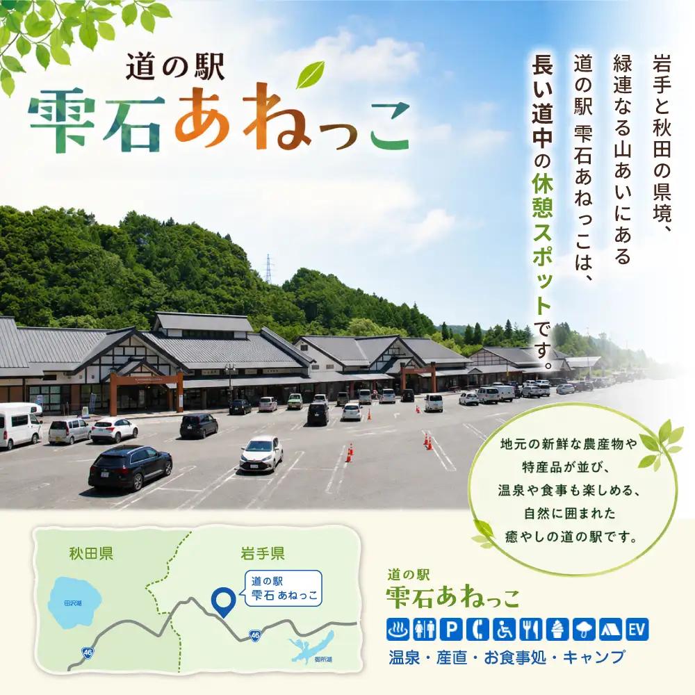 雫石純蜂蜜 アカシア 500g 1本 【あねっこ】 純粋 蜂蜜 はちみつ ハチミツ ハニー ５００ｇ １本 国産 国内産 日本産 ボトル 長期保存 産地直送 アカシヤ 蜜 みつ ミツ 人気 稀少 希少