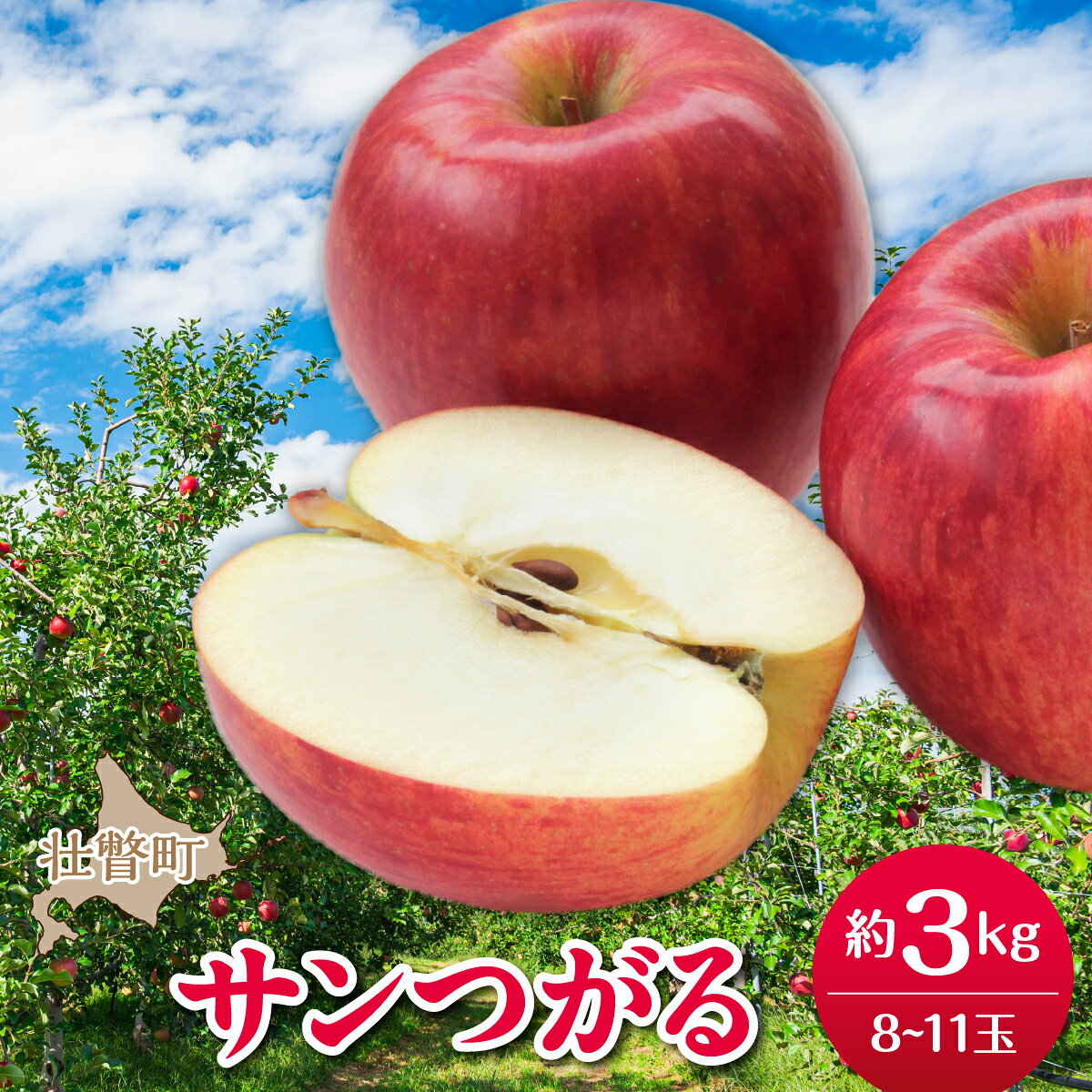 【ふるさと納税】【先行予約】北海道壮瞥町産りんご「サンつがる」約3kg(8～11玉)《2026年9月下旬よりお届け》【 りんご リンゴ 林檎 つがる サンつがる 蜜入り 3kg ジュース 果物 くだもの フルーツ 送料無料 】SBTF001