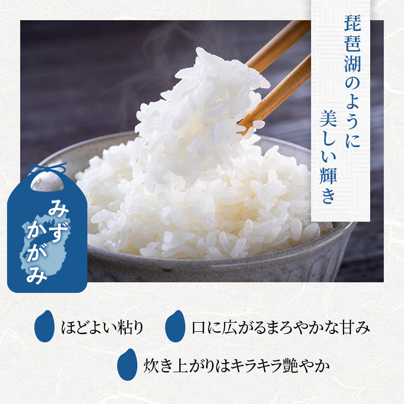【寄附額見直しました】 定期便 米 5kg×4ヶ月 みずかがみ 豊かな郷の近江米 令和7年産 米 こめ