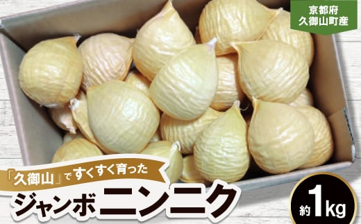 
                  ジャンボニンニク　約1kg【1240619】
                