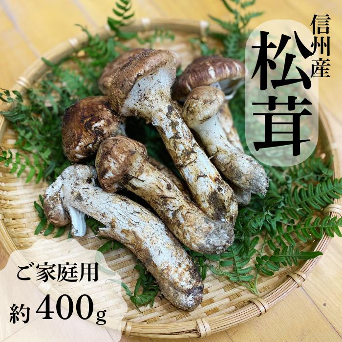 G-3　信州産「松茸」400g ご家庭用 訳あり品 ※2024年発送　なくなり次第終了※